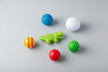 Dog Toys