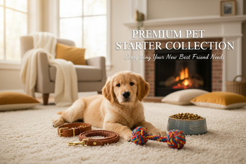 New Puppy Essentials