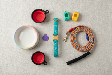 Pet Accessories