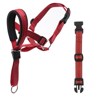 Nylon Dog Head Collar and Leash for Training (One Set)