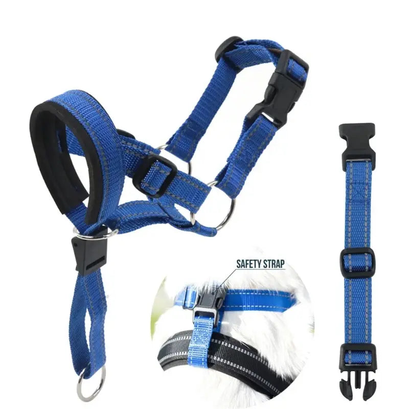 Blue dog harness with black straps on a white background