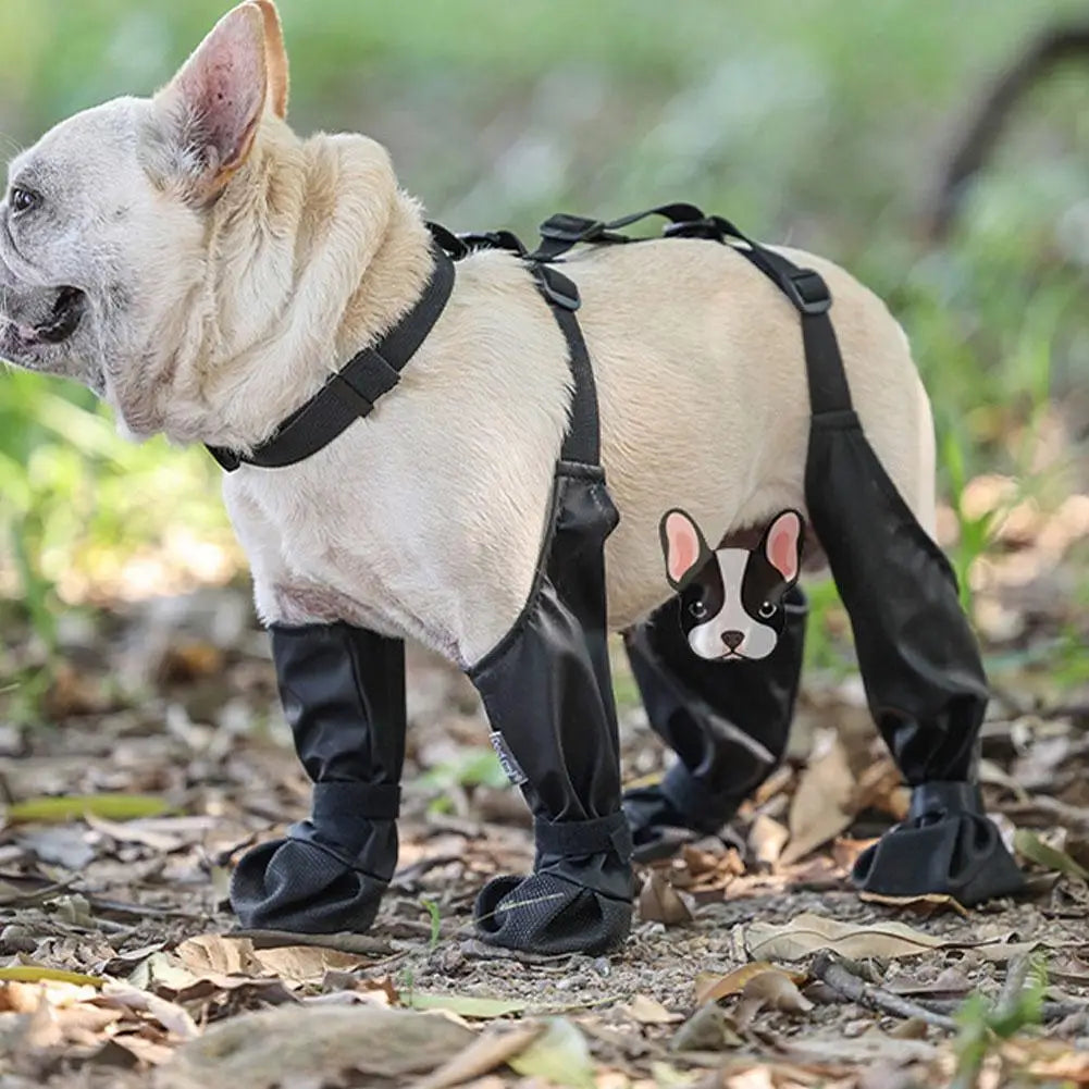 Anti-Slip Dog Shoes | The All-Terrain Paw Protection & Safety Protocol
