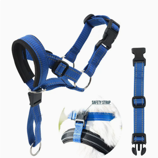 Red dog harness and collar set on a white background