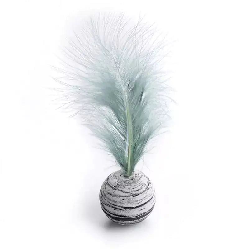 Cat playing with a feather toy on a white background