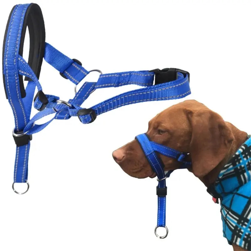 Dog Training Halter | The Gentle Control & Anti-Pulling Protocol
