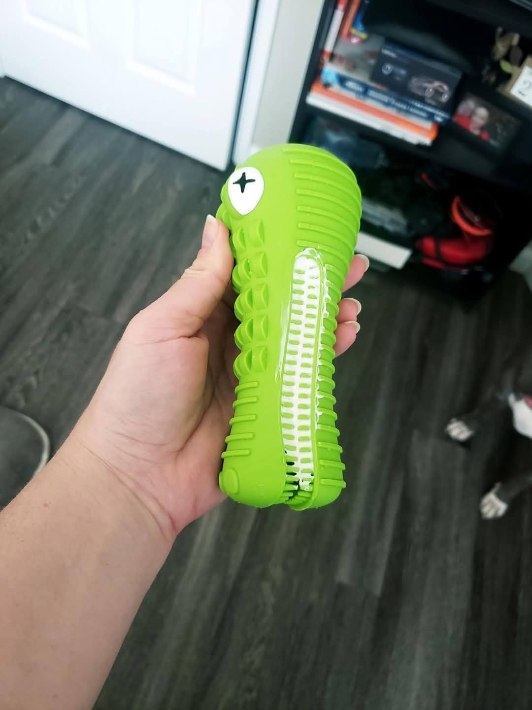 Green dog toy shaped like a lizard on a white background