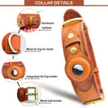 Dog Collar | The Durable Security & Style Protocol