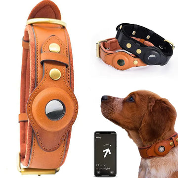 Dog Collar | The Durable Security & Style Protocol