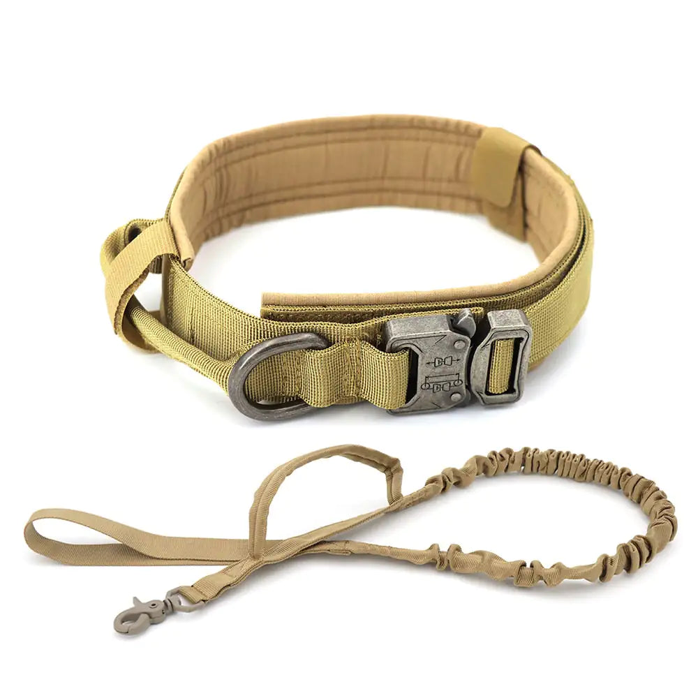 This Dog Collar is your "Everyday Security & Style Protocol.