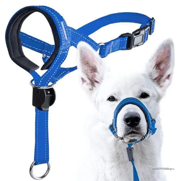 Dog Training Halter | The Gentle Control & Anti-Pulling Protocol