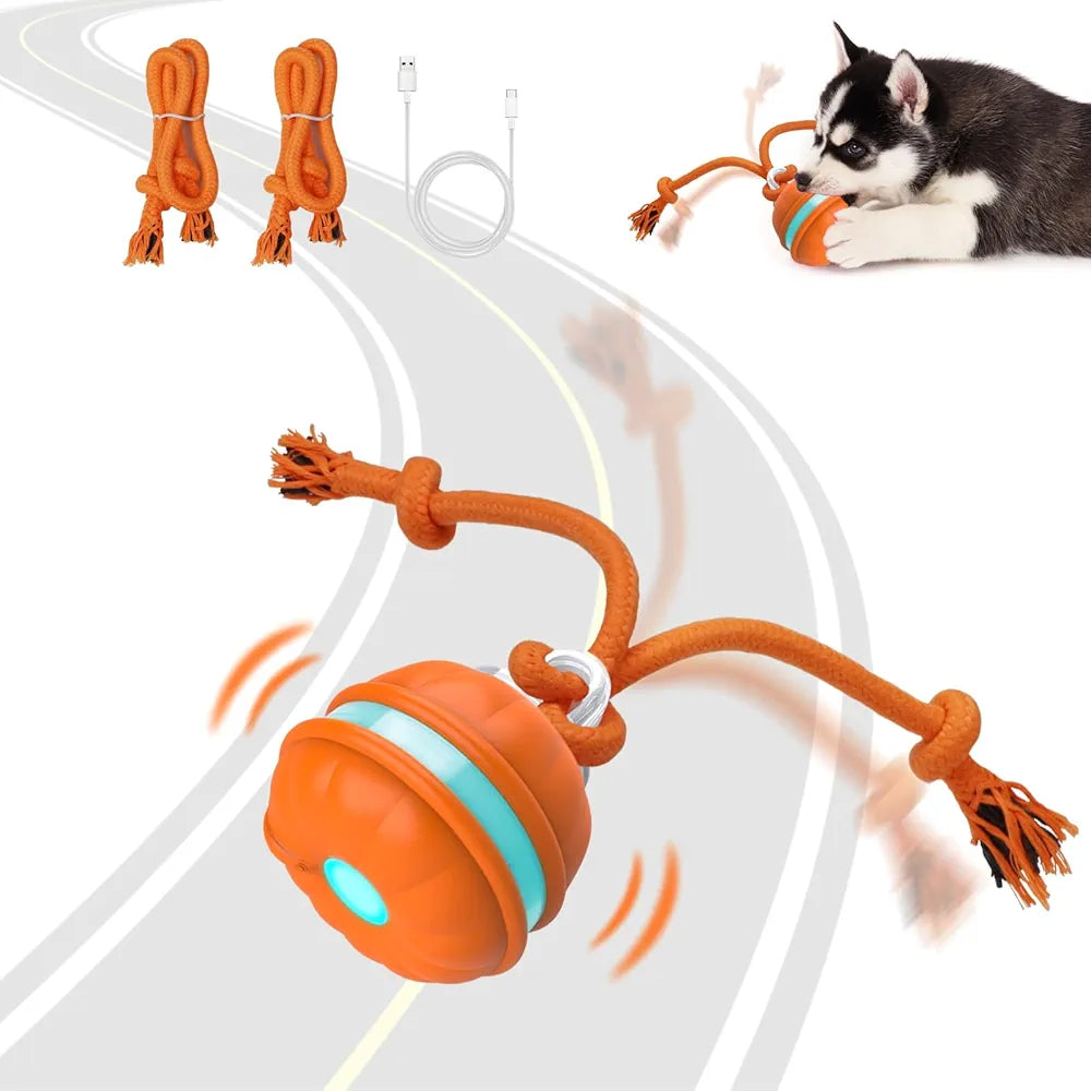 Orange dog toy with a bell and rope, featuring a dog playing with it on a white background.