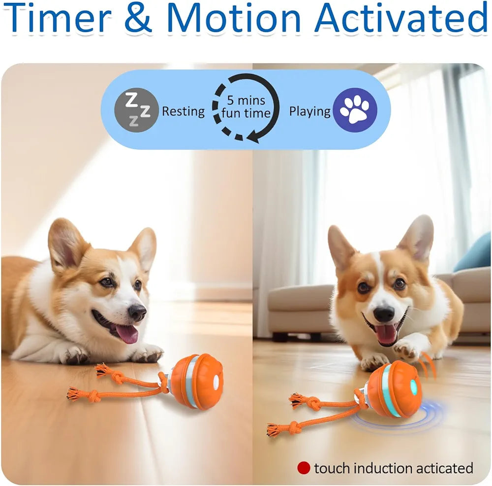 Dog toy with timer and motion activation features, showing a dog interacting with it.
