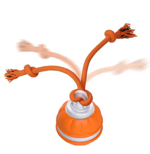 Dog toy with multiple ropes and a USB cable, featuring a dog holding a similar toy.