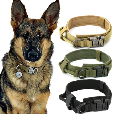 Dog Accesories