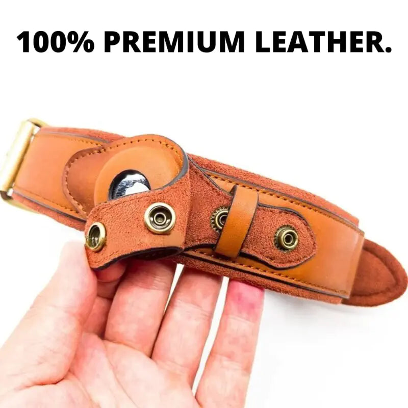 Dog Collar | The Durable Security & Style Protocol