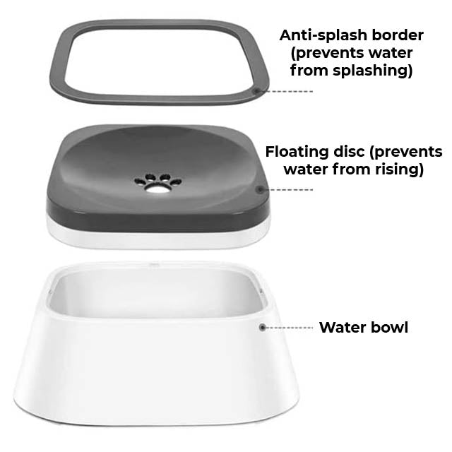 Dog drinking from a splash-proof pet bowl with a close-up of the design.