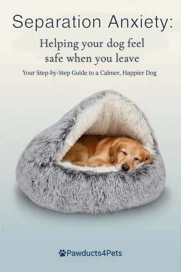 Book cover titled 'Separation Anxiety: Helping your dog feel safe when you leave' with a golden retriever resting inside a gray plush dog bed on a pale blue background. Pawducts4Pets branding appears at the bottom.