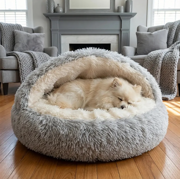 Dog lying in a fluffy gray pet bed in a cozy living room.