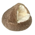 Winter Shell Shaped Dog Cat Calming Bed for pets
