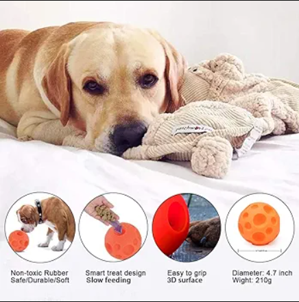 Orange dog toy with holes and scattered dog treats on a white background