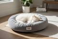 Dog sleeping peacefully on a calming plush pet bed