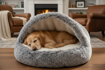 Older dog in hooded calming bed - warm tones