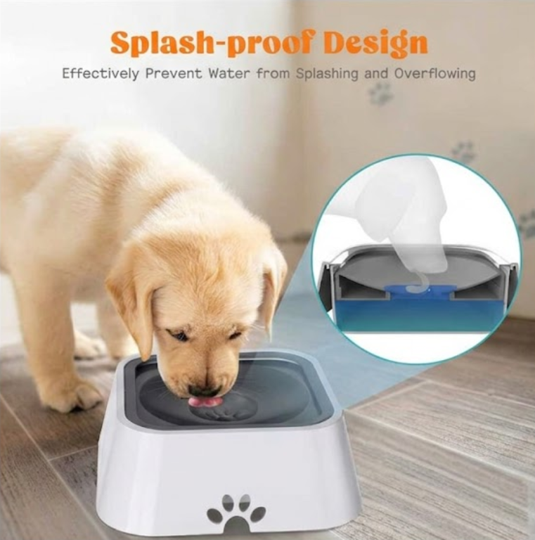 Dog drinking from a splash-proof pet bowl with a close-up of the design.
