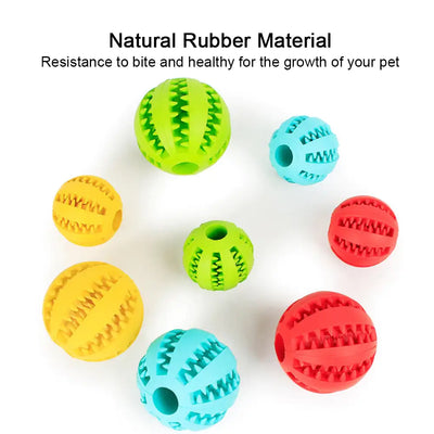 Pet Toys